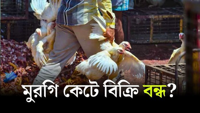 মুরগির কসাইখানা তৈরির পরিকল্পনা পুরসভার।