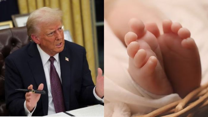 ডোনাল্ড ট্রাম্প