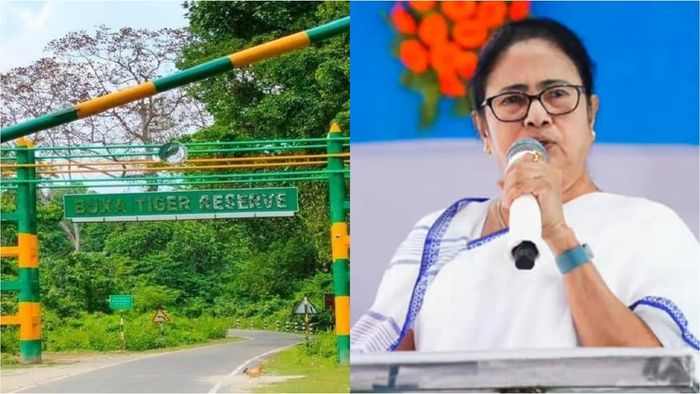 বনাঞ্চলে প্রবেশমূল্য প্রত্যাহার।