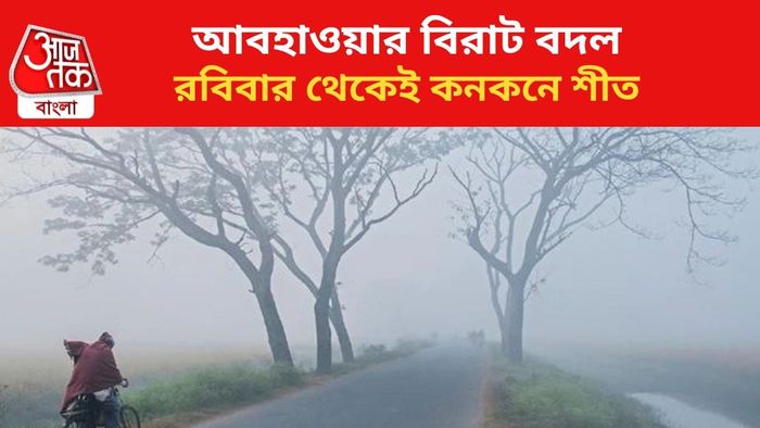 ফাইল চিত্র।