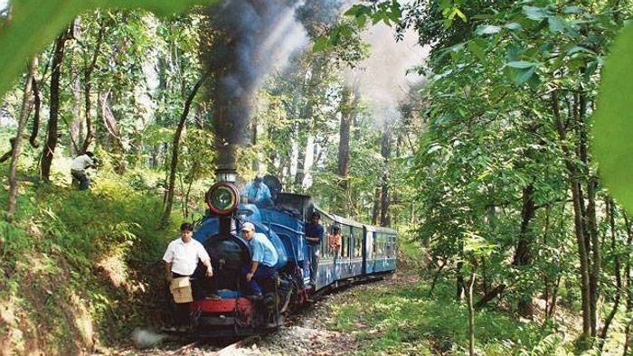 প্রবল শীতে কাঁপুনি উত্তরবঙ্গে, কুয়াশা-বৃষ্টিতে মাঝপথে থমকে গেল টয়ট্রেন