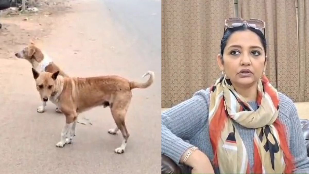 পথ কুকুর-বিড়ালদের জন্য সেবা কেন্দ্র, ২৫ লক্ষ বরাদ্দ সাংসদ জুনের