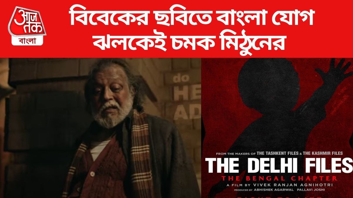 দ্য দিল্লি ফাইলস টিজার