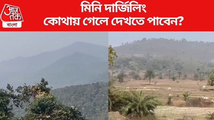 কোথায় গেলে দেখতে পাবেন?