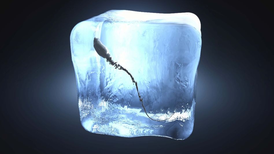 ভারতে পুরুষদের বাবা হওয়ার ক্ষমতা কমছে, শুক্রাণু সংরক্ষণ বাড়ছে, খরচ কত? ভারতে পুরুষদের বাবা হওয়ার ক্ষমতা কমছে, শুক্রাণু সংরক্ষণ বাড়ছে, খরচ কত?