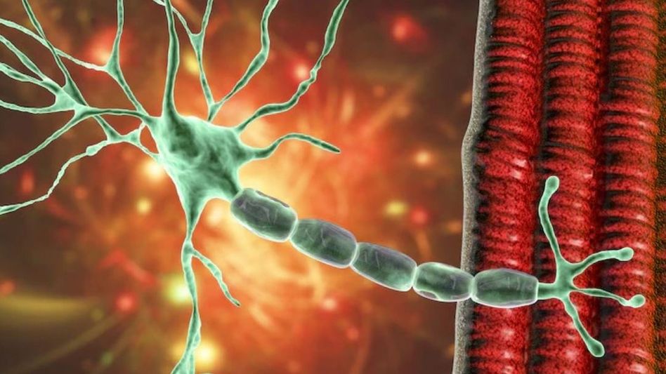 GBS-এ এবার কলকাতাতেও মৃত্যু, কী এই গুলেইন বারি সিনড্রোম ও কীভাবে বাঁচবেন? GBS-এ এবার কলকাতাতেও মৃত্যু, কী এই গুলেইন বারি সিনড্রোম ও কীভাবে বাঁচবেন?