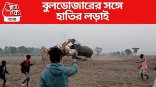 'আর্থমুভার নিয়ে হাতির সঙ্গে লড়াই' ভাইরাল ভিডিওর চালককে গ্রেফতার করল পুলিশ
