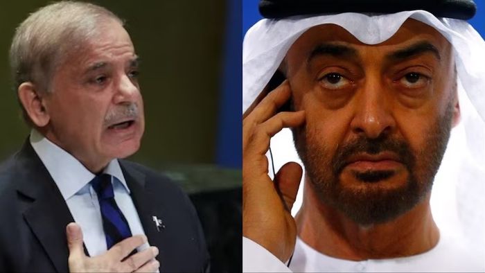 আর পাকিস্তানিদের প্রয়োজন নেই, ইসলামাবাদকে বড় ধাক্কা দিতে চলেছে এই মুসলিম দেশ