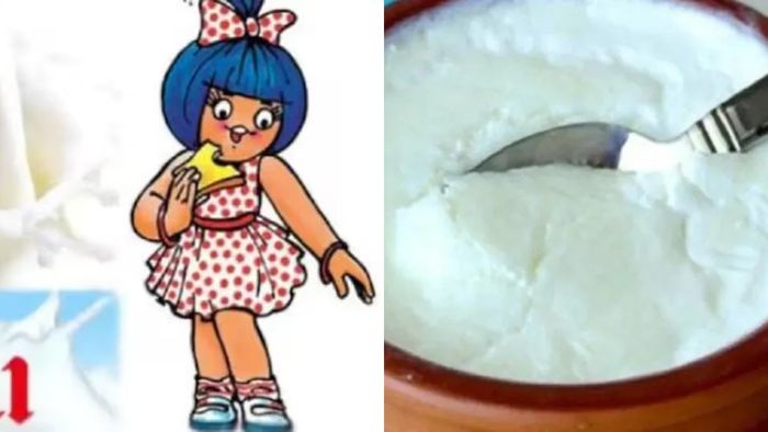 কলকাতায় হবে দই কারখানা।