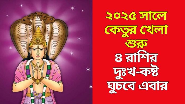 কেতুর গোচরে লাভবান ৪ রাশি