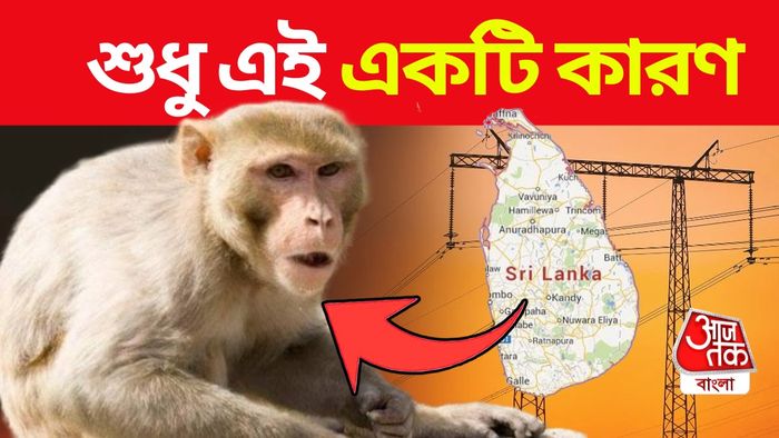 Sri Lanka Power Outage:গোটা শ্রীলঙ্কায় লোডশেডিং ঠিক এই একটি কারণে! জানলে চমকে উঠবেন