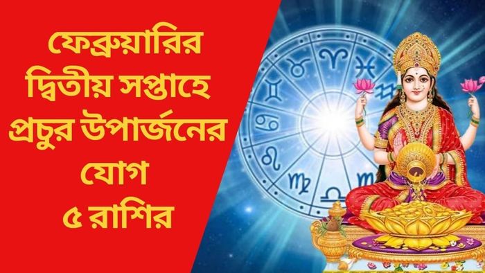 ফেব্রুয়ারির দ্বিতীয় সপ্তাহে প্রচুর উপার্জনের যোগ ৫ রাশির