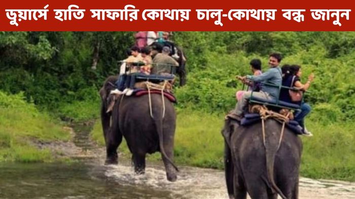 কোথাও বন্ধ, কোথাও চালু? ডুয়ার্সে হাতি সাফারির আগে জেনে নিন