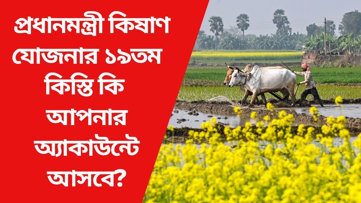 প্রধানমন্ত্রী কিষাণ যোজনার ১৯তম কিস্তি কি আপনার অ্যাকাউন্টে আসবে?