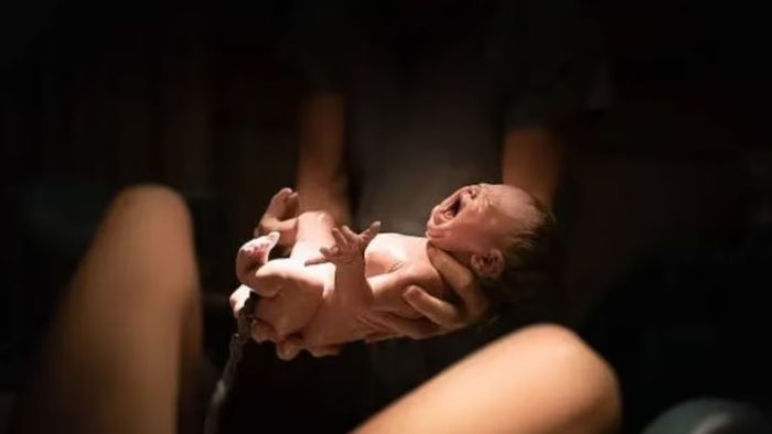 প্রতীকী ছবি