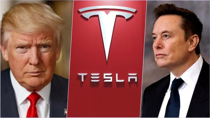 এলন মাস্কের বিরোধিতায় ডোনাল্ড ট্রাম্প