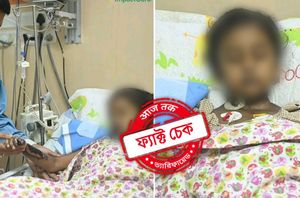 Social Media Users Social Media Users