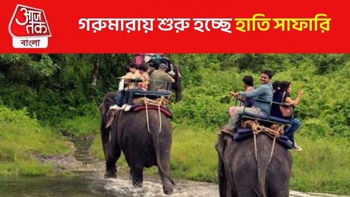 পর্যটকদের জন্য সুখবর, ডুয়ার্সের এই জঙ্গলে ফের শুরু হাতি সাফারি