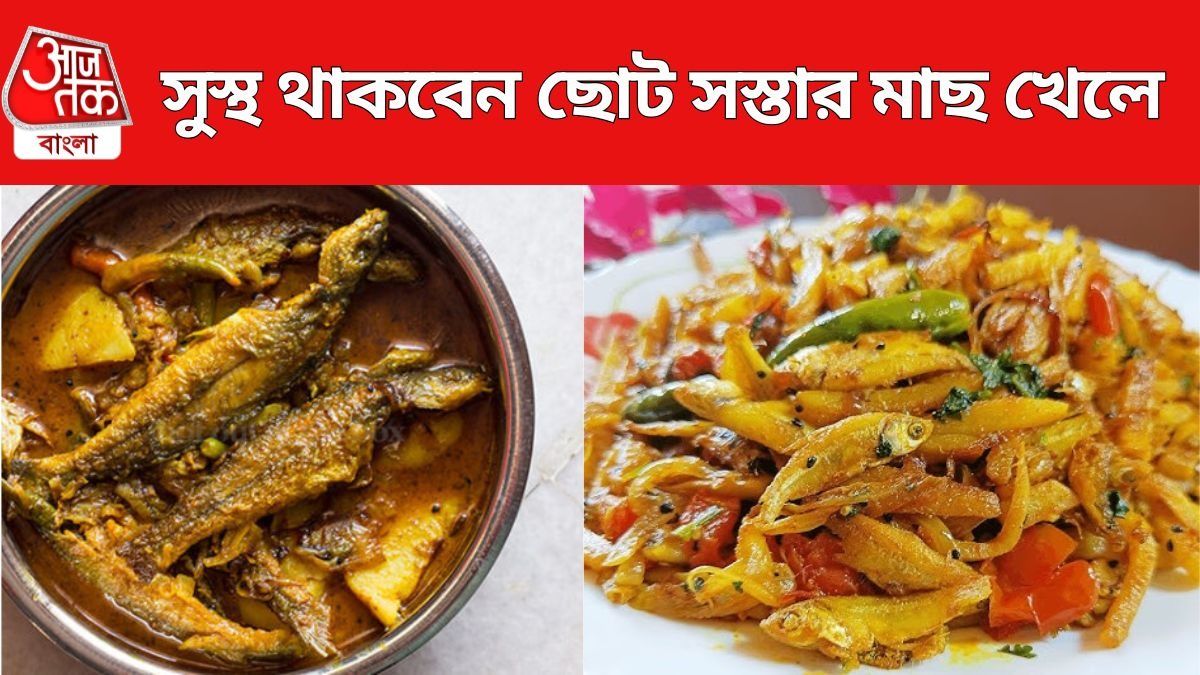 পাকা মাছ ছাড়ুন, হার্ট-লিভার ভাল রাখতে খান সস্তার ছোট মাছ