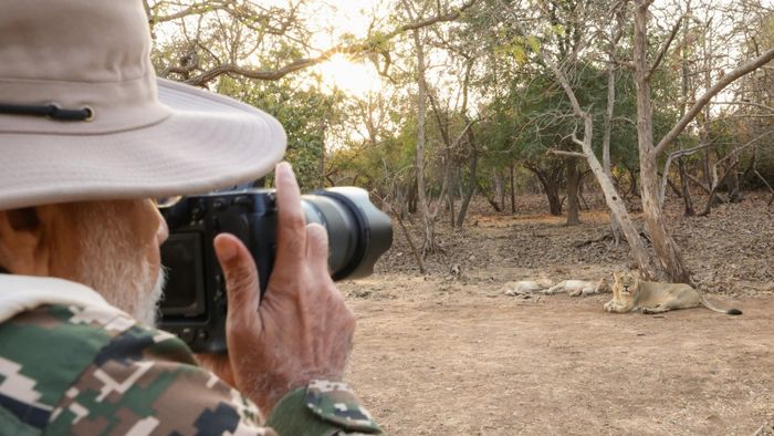 গির অরণ্যে ছবি তুলছেন প্রধানমন্ত্রী মোদী।-ফাইল ছবি