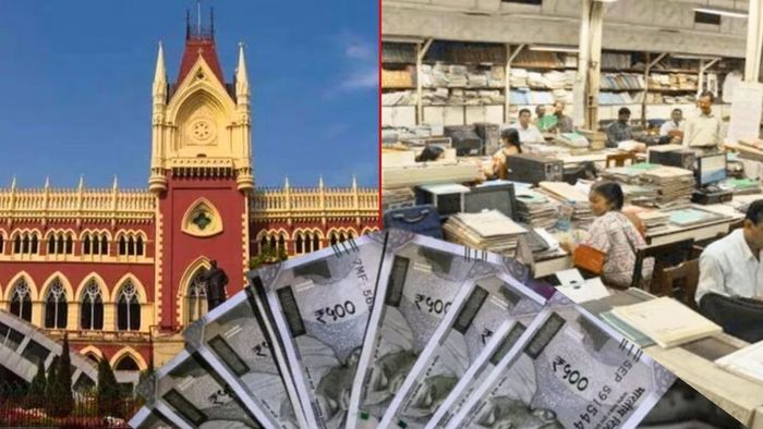 ফাইল ছবি।