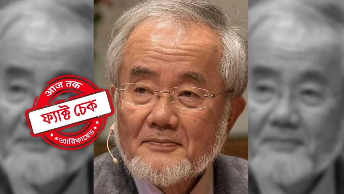 Latinalar bilan erotik video suhbat