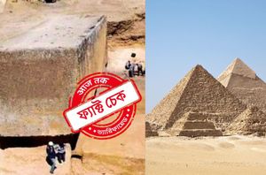 Social Media Users Social Media Users