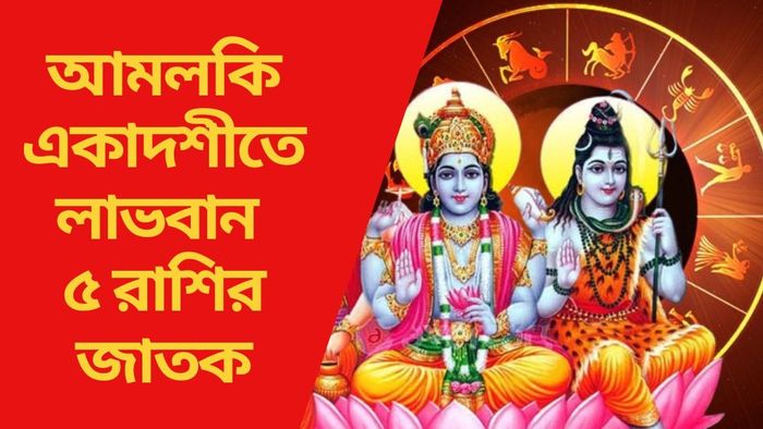 আমলকি একাদশীতে লাভবান ৫ রাশির জাতক