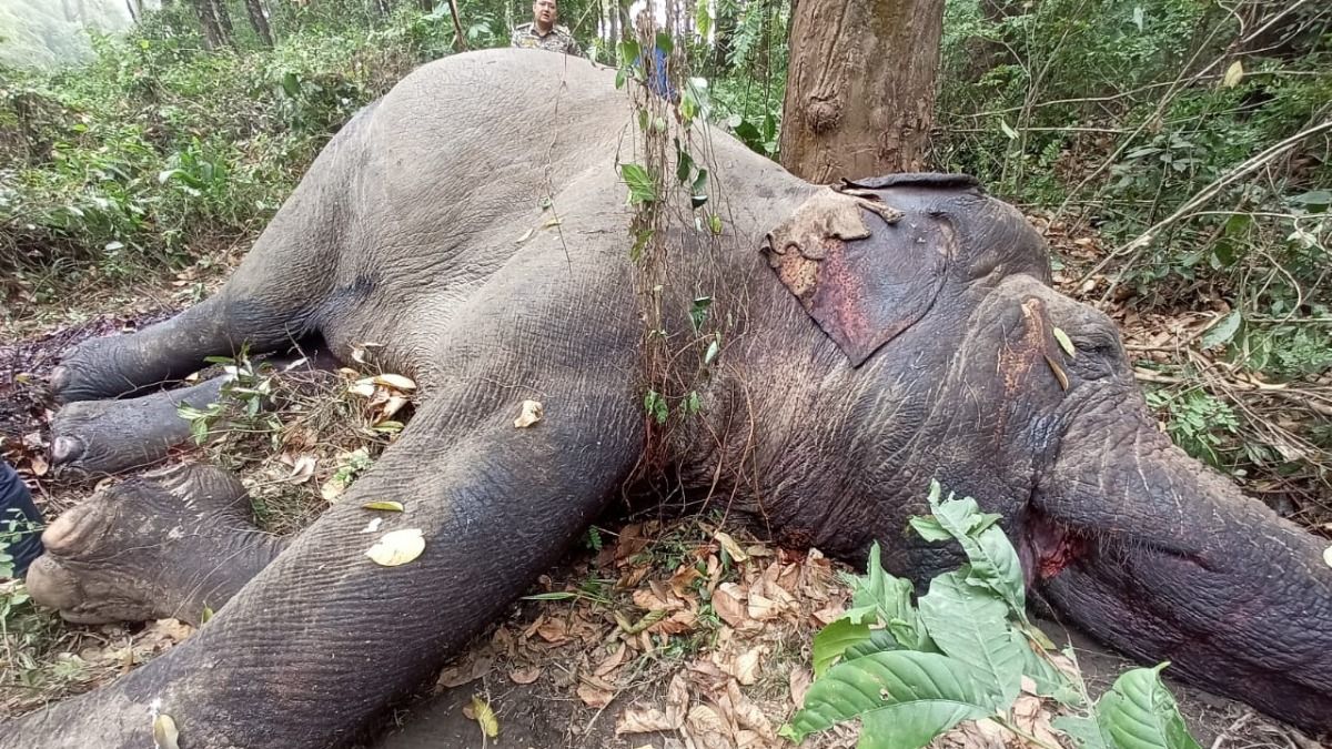গরমে নিন সহজলভ্য এই পাওয়ার ড্রিঙ্ক শরীর থাকবে 'ফিট অ্যান্ড কুল'
