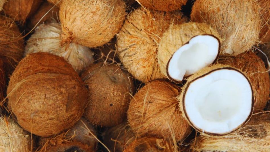 গরুর দুধ হজমে সমস্যা? ৬ আশ্চর্য উপকার পেতে খান নারকেলের দুধ গরুর দুধ হজমে সমস্যা? ৬ আশ্চর্য উপকার পেতে খান নারকেলের দুধ