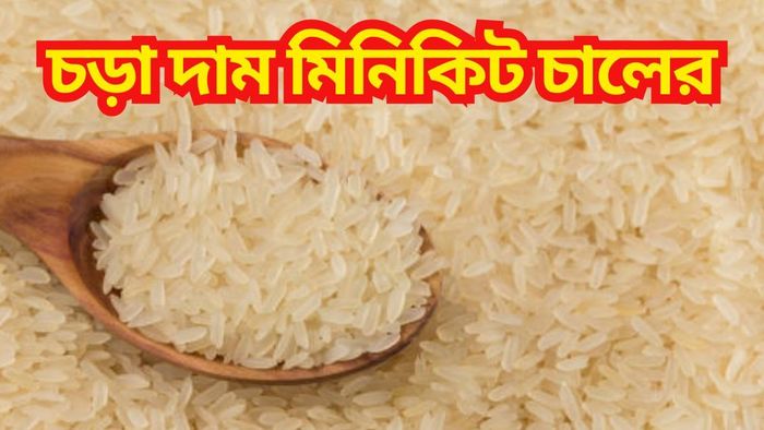 চালের দাম কবে কমবে? খোঁজ নিল Bangla.aajtak.in