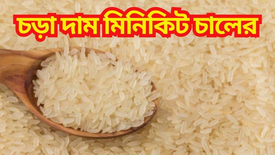 চালের দাম আরও বাড়ল, কমবে কবে? খোঁজ নিল bangla.aajtak.in চালের দাম আরও বাড়ল, কমবে কবে? খোঁজ নিল bangla.aajtak.in