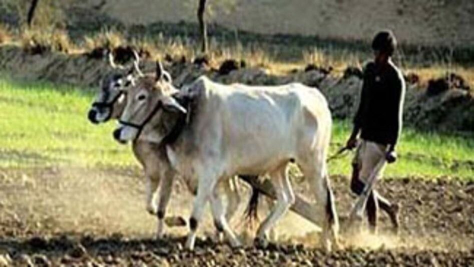 প্রতীকি ছবি
