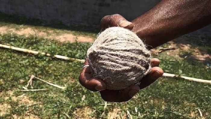 প্রতীকী ছবি