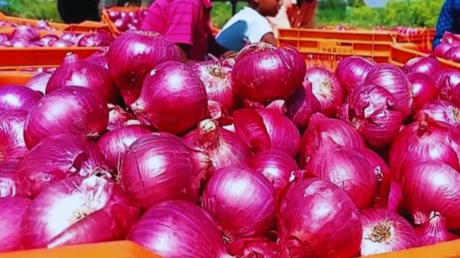 দ্রুত ওজন কমিয়ে দেয় পেঁয়াজ, তবে নিয়মটা জেনে খেতে হবে এভাবে দ্রুত ওজন কমিয়ে দেয় পেঁয়াজ, তবে নিয়মটা জেনে খেতে হবে এভাবে