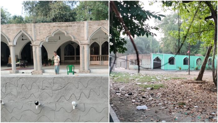 ইন্ডিয়ান বোটানিক্যাল গার্ডেন।-কোলাজ