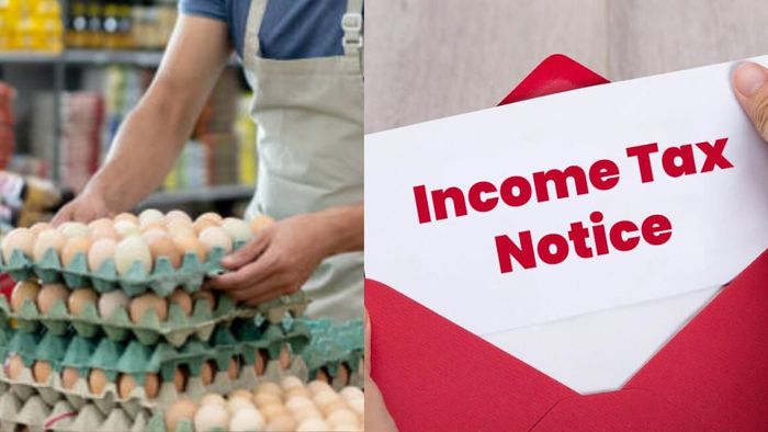 ৬ কোটির GST বকেয়া, ইনকাম ট্যাক্সের নোটিশ পেয়ে মাথায় হাত ডিম বিক্রেতার