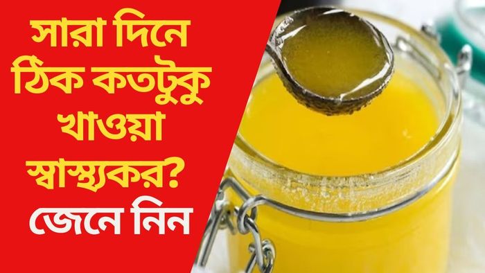 সারা দিনে ঠিক কতটুকু খাওয়া স্বাস্থ্যকর?