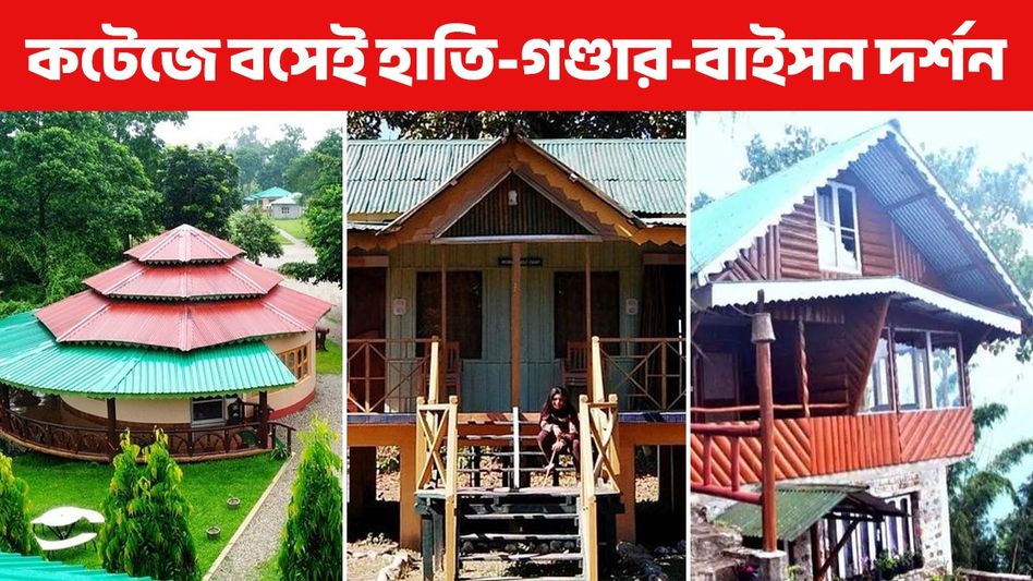 কটেজ থেকেই দেখা যায় হাতি, গন্ডার, বাইসন; দীর্ঘদিন পর খুলছে ডুয়ার্সের এই জঙ্গল ক্যাম্প কটেজ থেকেই দেখা যায় হাতি, গন্ডার, বাইসন; দীর্ঘদিন পর খুলছে ডুয়ার্সের এই জঙ্গল ক্যাম্প