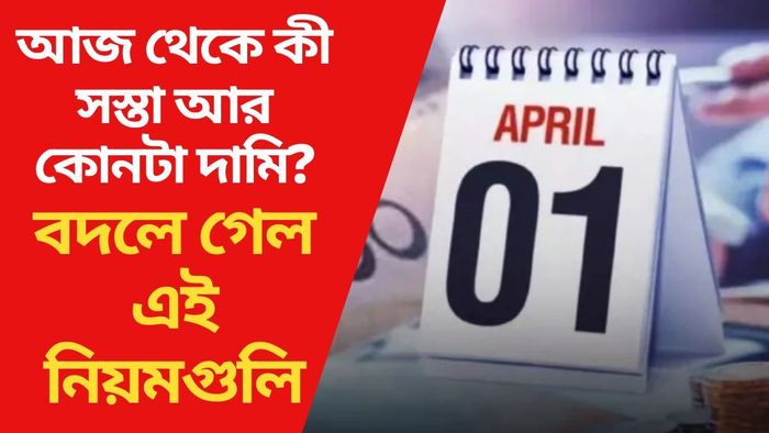 আজ থেকে কী সস্তা আর কোনটা দামি?