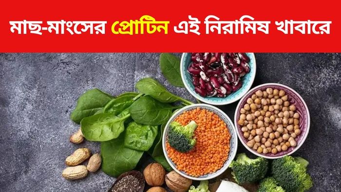 এই খাবারগুলি প্রোটিন সমৃদ্ধ
