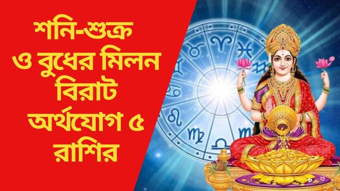 বিরাট অর্থযোগ ৫ রাশির