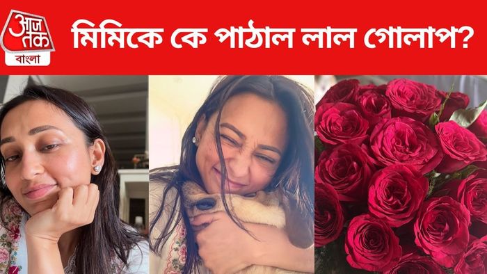 নববর্ষ যাপন মিমির