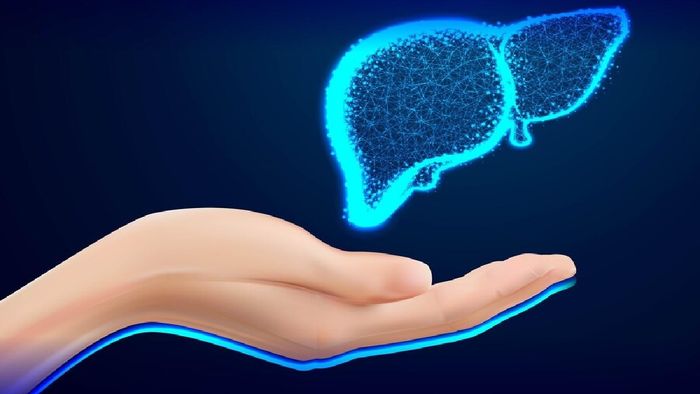 প্রতীকী ছবি