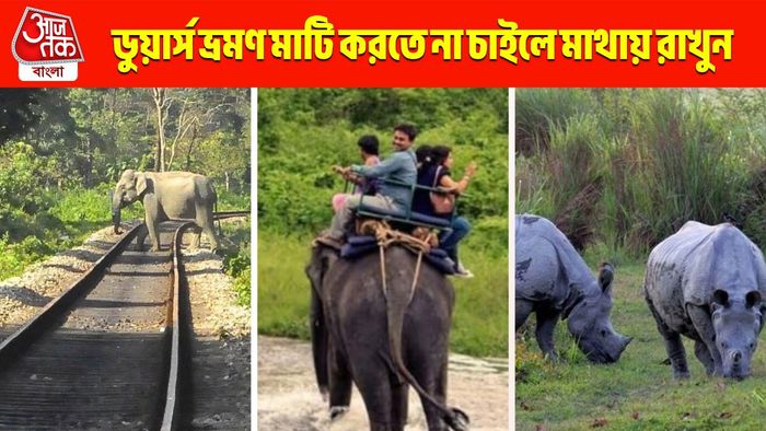 ডুয়ার্স যাওয়ার সেরা সময় কখন? ঘুরে দেখার সেরা টিপস