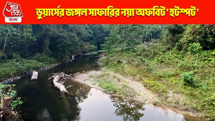 জঙ্গলের মাঝখানে বয়ে চলা নদী, আর তার পাড়ে পর্যটকের ভিড়—চিলাপাতার বানিয়া নদী এখন নতুন হটস্পট!