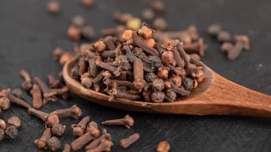 ঘুমনোর আগে খেয়ে নিন লবঙ্গ ভেজানো জল, গুণ জানলে চমকে যাবেন ঘুমনোর আগে খেয়ে নিন লবঙ্গ ভেজানো জল, গুণ জানলে চমকে যাবেন