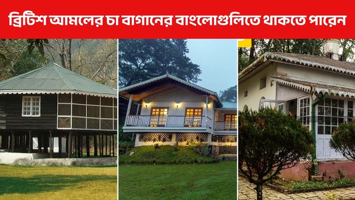 চা-বাগানে ব্রিটিশ বাংলোতে এক রাত! থাকার সুযোগ, কোথায় কত খরচ, কীভাবে যাবেন?