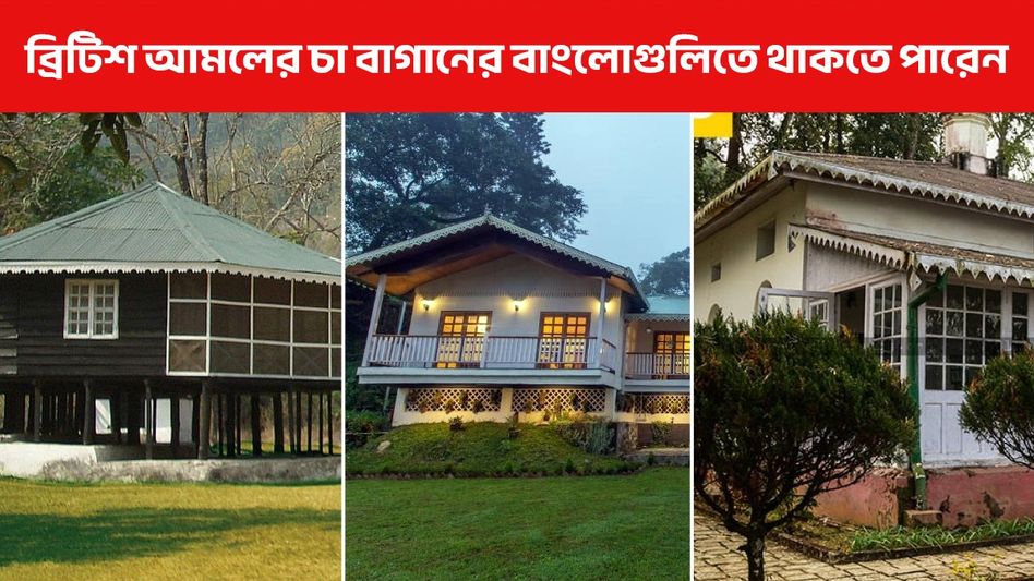 কাশ্মীর ছাড়ুন, দার্জিলিঙের এই ৩ বাংলোয় কাটান ছুটি, জানুন ট্যুর গাইড কাশ্মীর ছাড়ুন, দার্জিলিঙের এই ৩ বাংলোয় কাটান ছুটি, জানুন ট্যুর গাইড