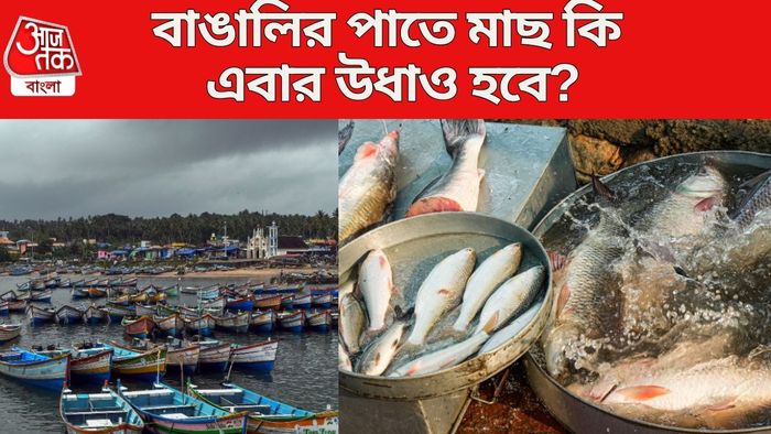 হাওয়া বদলে ঝুঁকিতে বঙ্গোপ সাগরের মাছ উৎপাদন